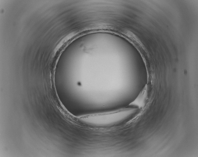 X0000067920781200605112007