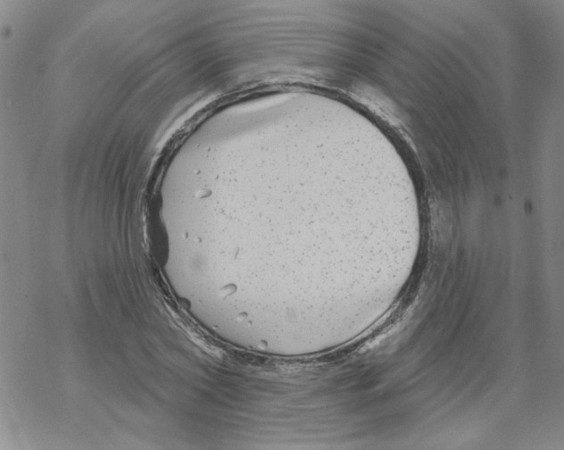 X0000067920782200605112007