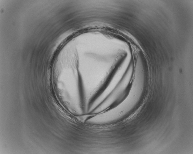 X0000067920783200605112007