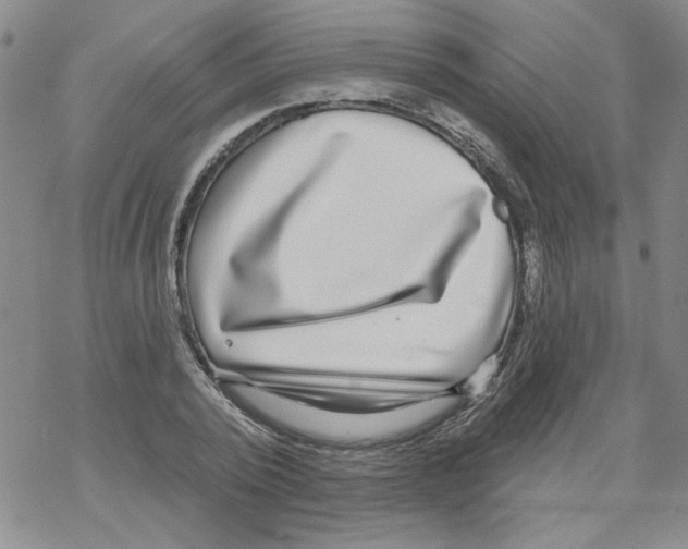 X0000067920784200605112007