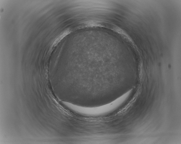 X0000067920785200605112007