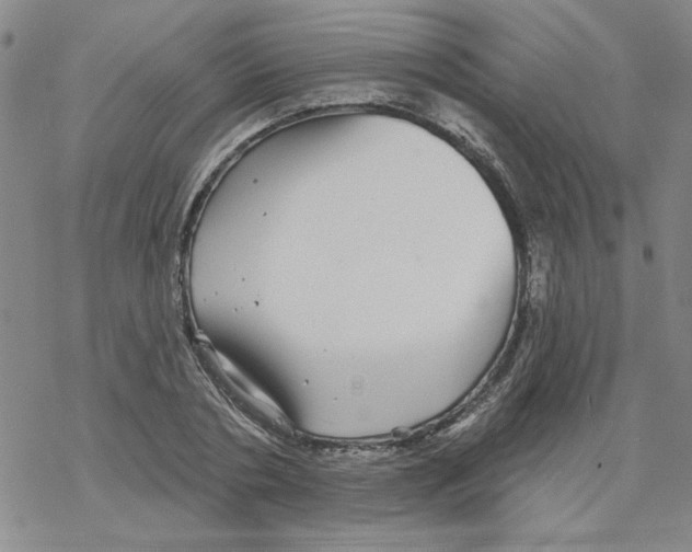 X0000067920786200605112007