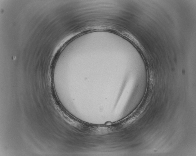 X0000067920787200605112007