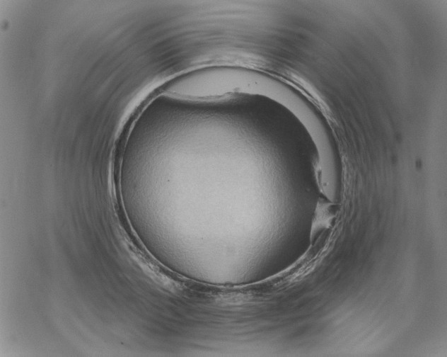 X0000067920788200605112007