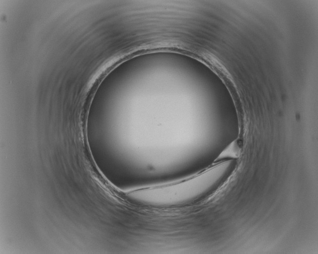 X0000067920789200605112007