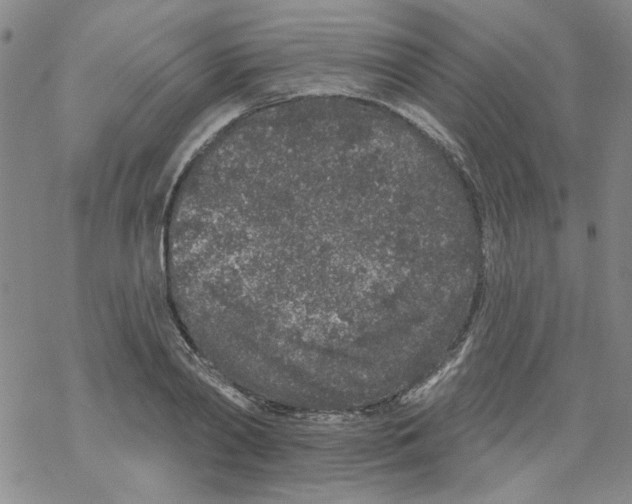 X0000067920790200605112007