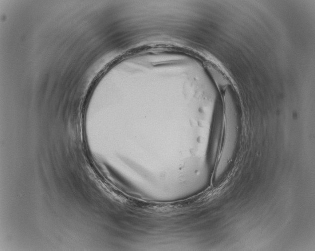 X0000067920791200605112007