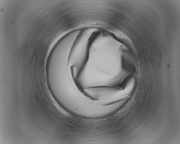 X0000067920792200605112007