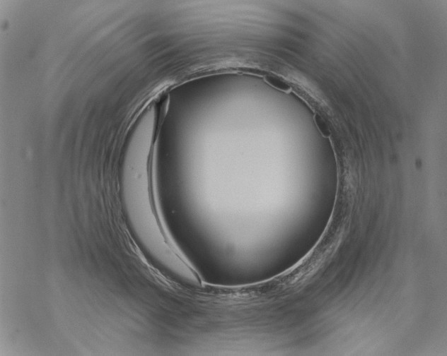 X0000067920793200605112007