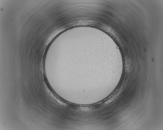 X0000067920794200605112007