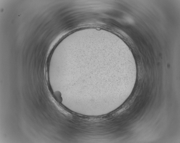 X0000067920796200605112007