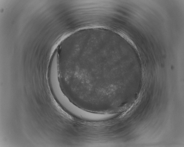 X0000067920797200605112007