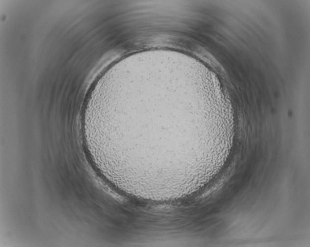 X0000067920798200605112007