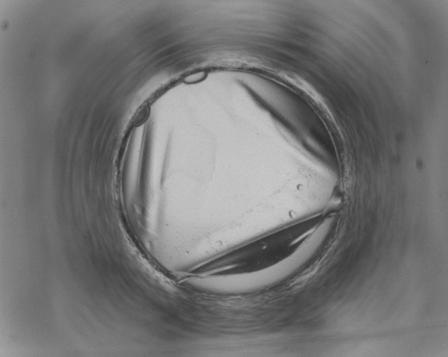 X0000067920799200605112007