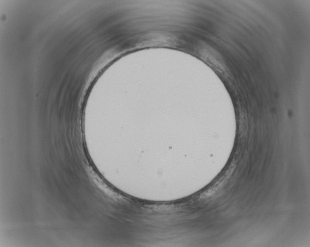 X0000067920800200605112007