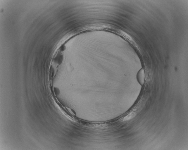 X0000067920802200605112007