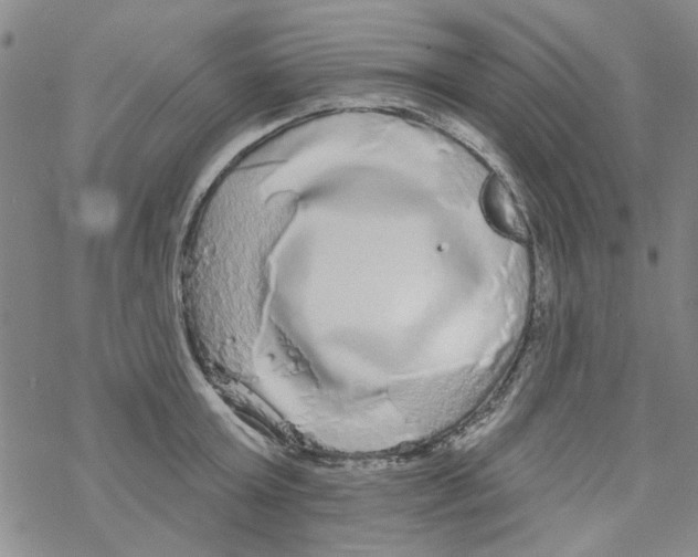 X0000067920803200605112007