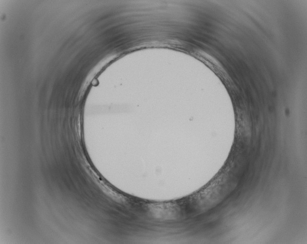 X0000067920804200605112007