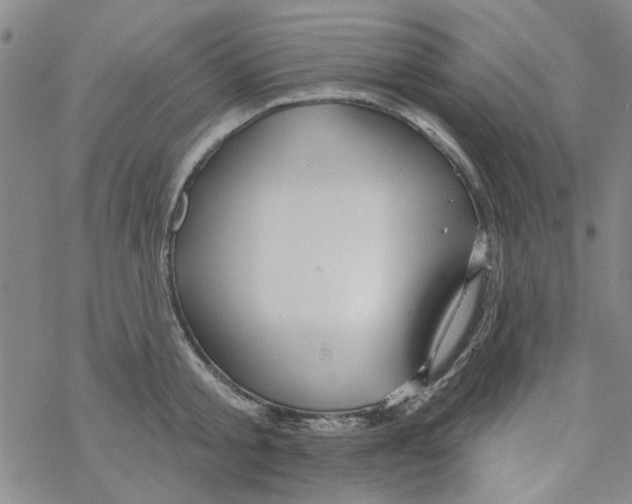 X0000067920805200605112007