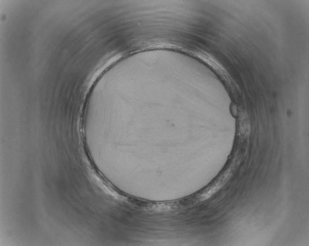 X0000067920806200605112007