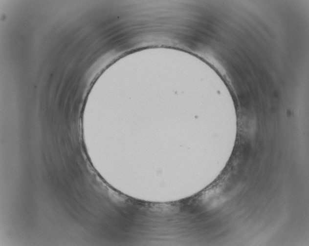 X0000067920807200605112007