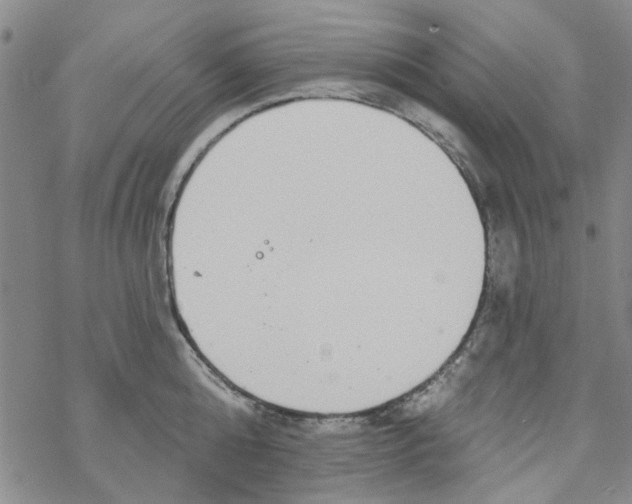 X0000067920808200605112007