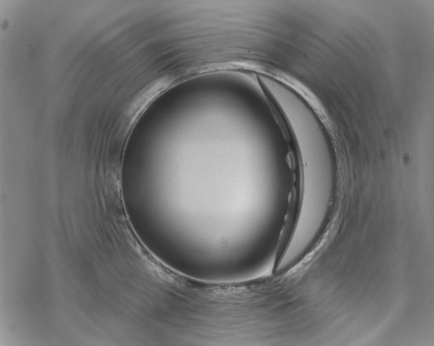 X0000067920809200605112007