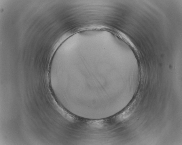 X0000067920810200605112007