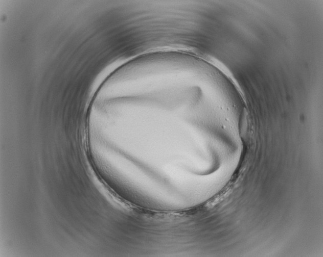 X0000067920811200605112007