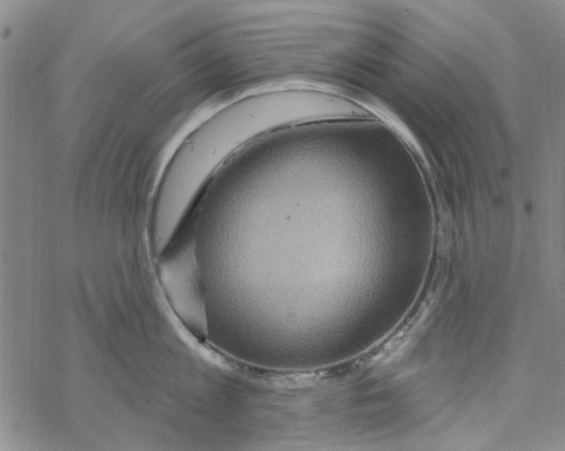 X0000067920813200605112007