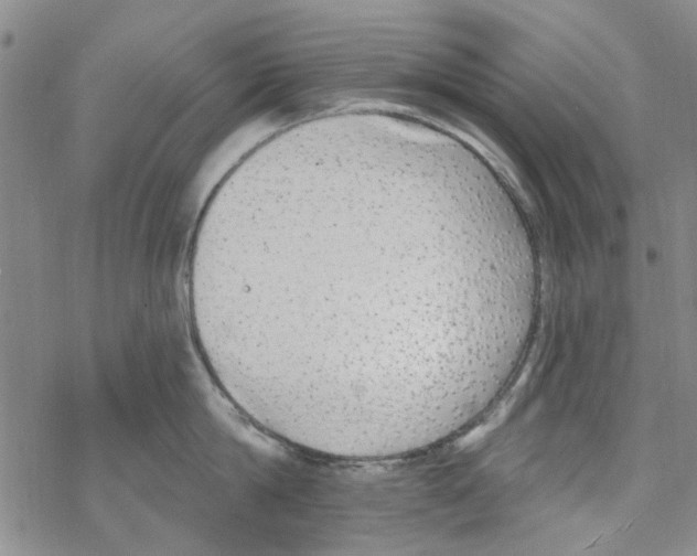 X0000067920814200605112007