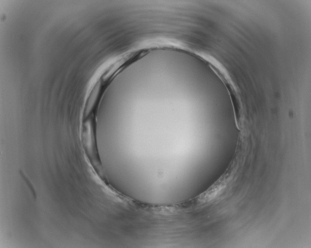 X0000067920815200605112007