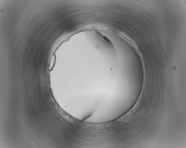 X0000067920816200605112007