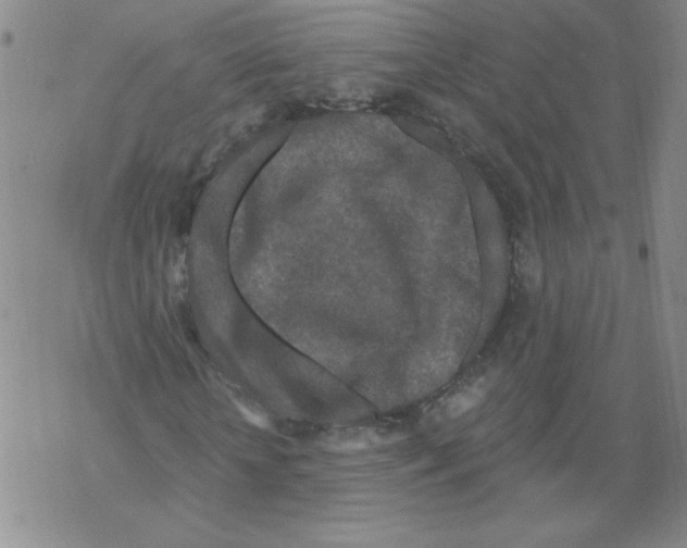 X0000067920818200605112006