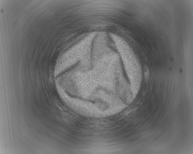 X0000067920819200605112006