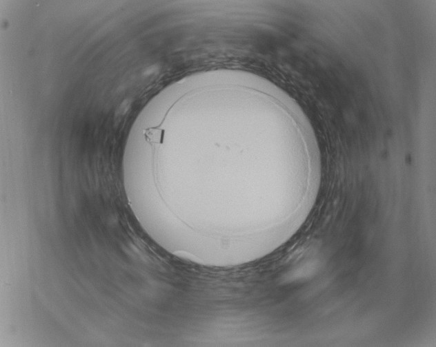 X0000067920820200605112006