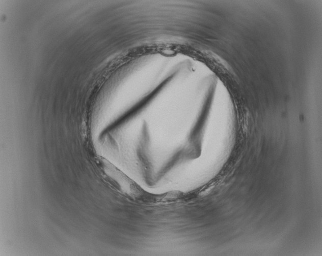 X0000067920821200605112006