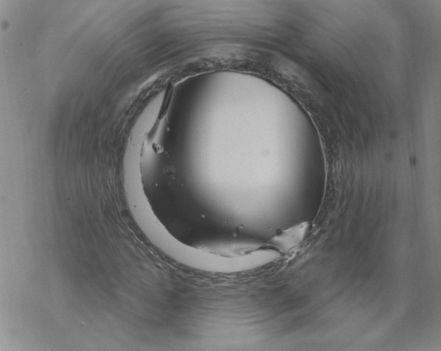 X0000067920822200605112006