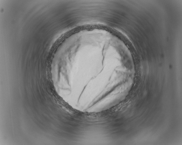 X0000067920823200605112006