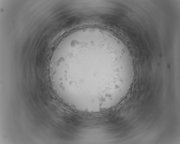 X0000067920824200605112006