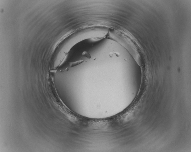 X0000067920826200605112006