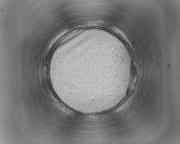 X0000067920827200605112006