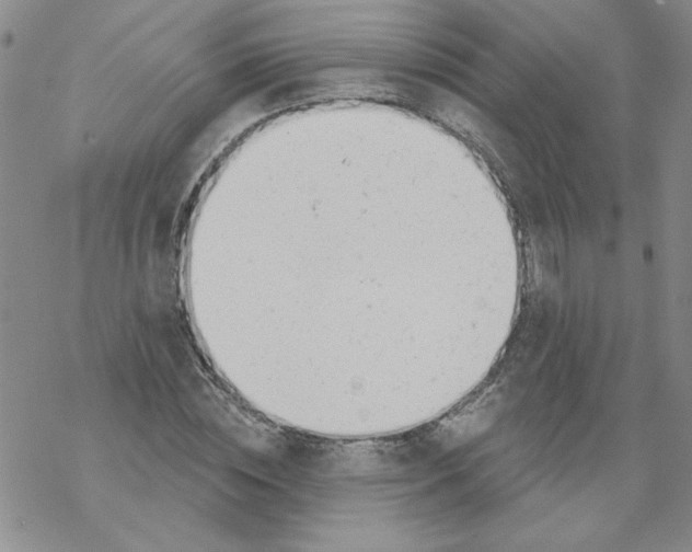 X0000067920828200605112006