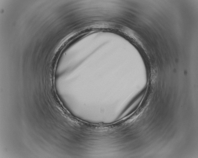 X0000067920829200605112006