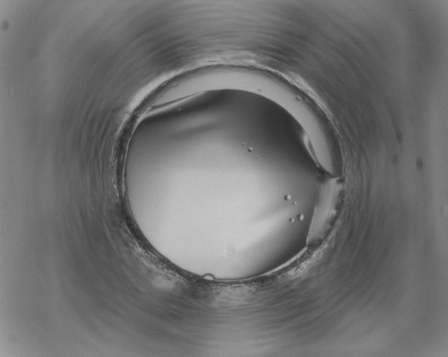 X0000067920830200605112006