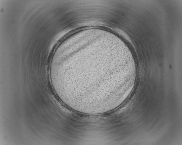 X0000067920831200605112006