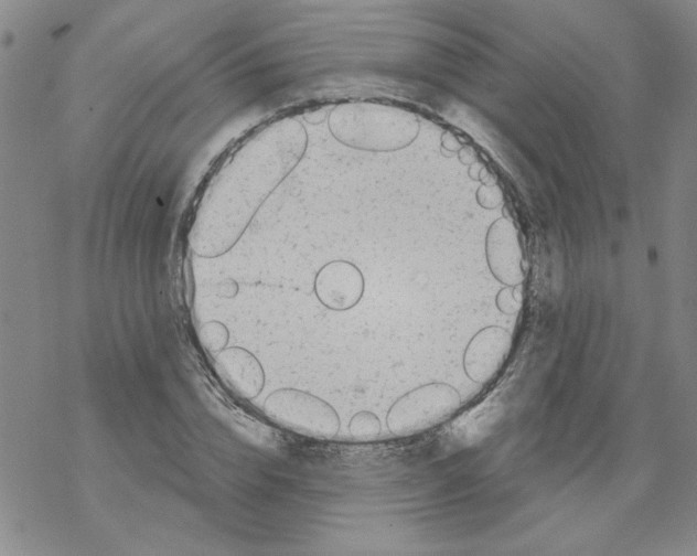 X0000067920832200605112006