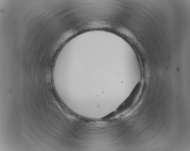 X0000067920833200605112006