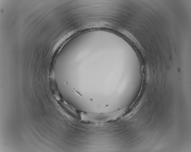 X0000067920834200605112006