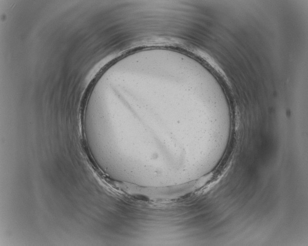 X0000067920837200605112006